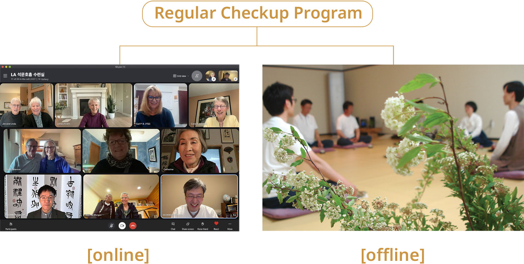 reqular check program